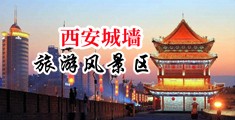 干B视频在线观看中国陕西-西安城墙旅游风景区