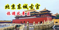 .浪逼色影院中国北京-东城古宫旅游风景区